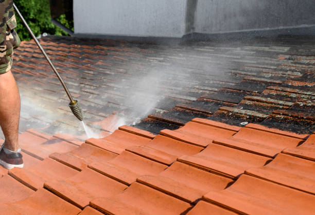 Best Power Washing Near Me  in Palo, IA