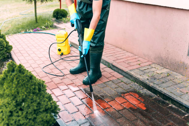 Pressure Washing Contractors in Palo, IA