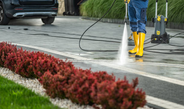 Best Roof Power Washing Services  in Palo, IA