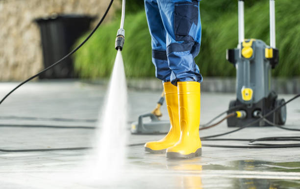 Best Best Pressure Washing Companies  in Palo, IA